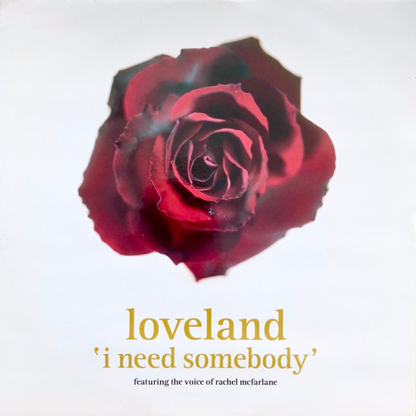 I Need Somebody by Loveland, Rachel McFarlane