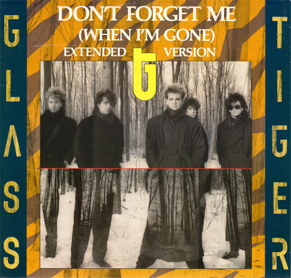 Don't Forget Me (When I'm Gone) (Extended Version)