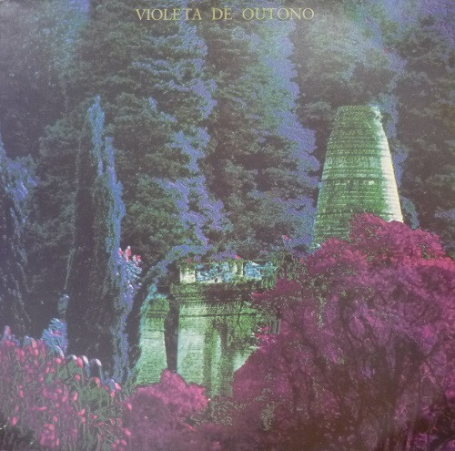 Violeta De Outono
